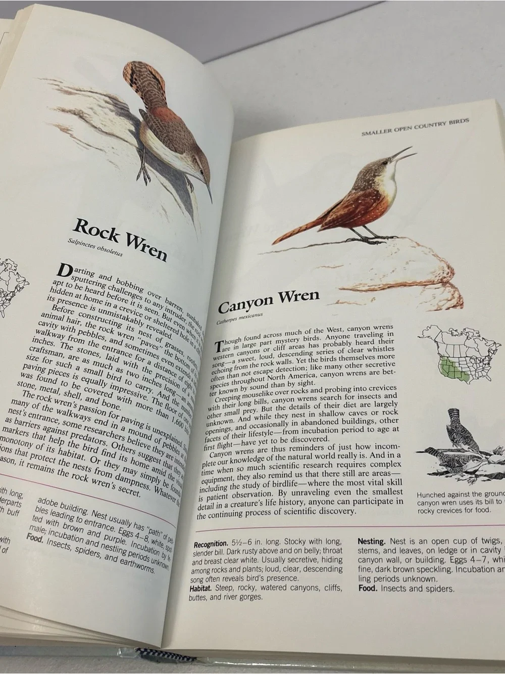 Book of North American Birds Reader’s Digest Hardcover 1990 Illustrated Guide